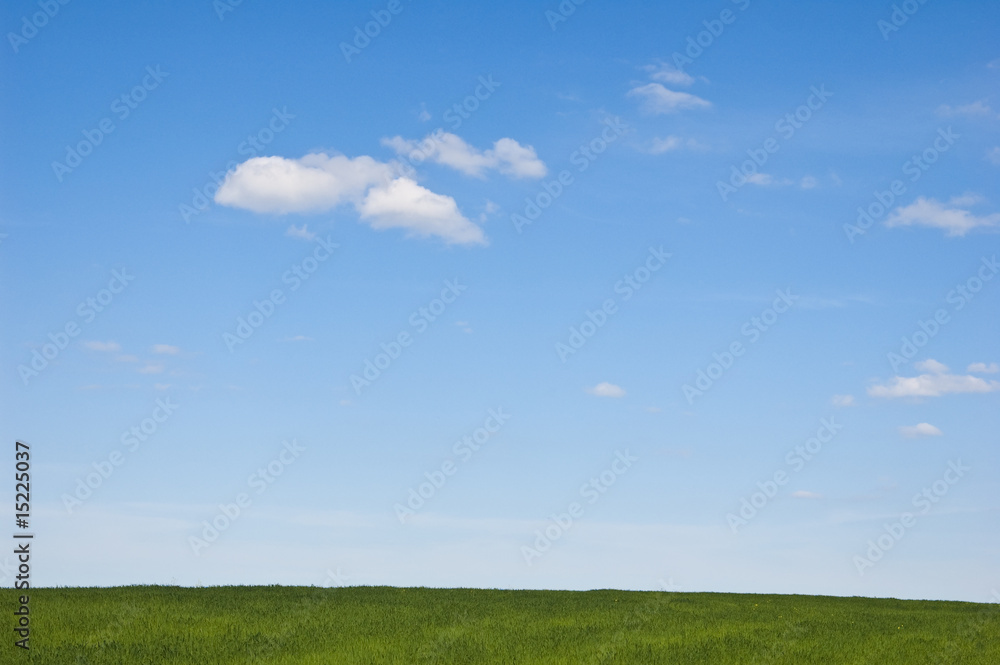 Fototapeta premium summer landscape