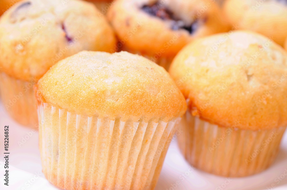 blueberry muffins blueberry muffins