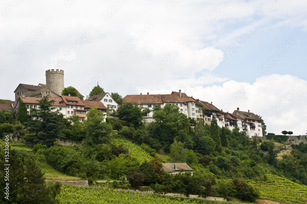 Regensberg castle