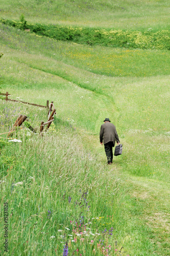 Uomo anziano che cammina solo in un prato © giemmephoto
