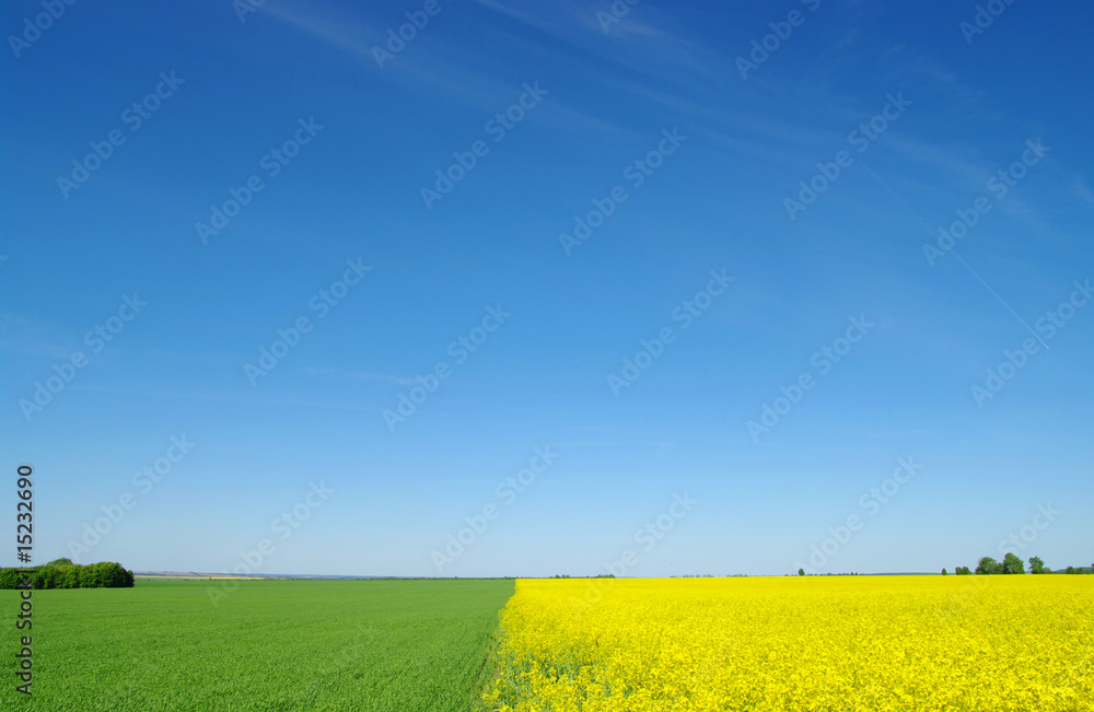 Obraz premium landscape