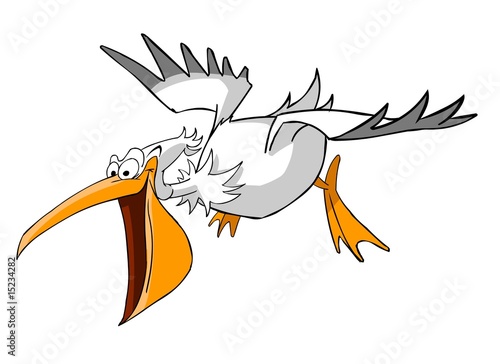 flying pelican with open beak