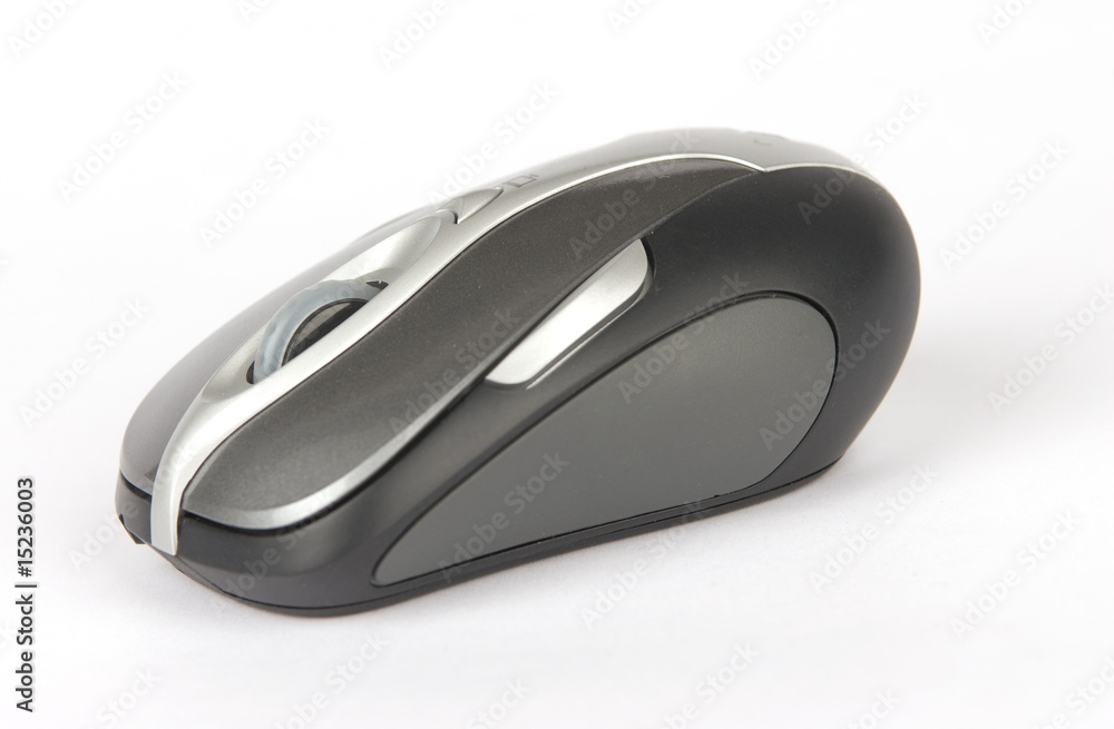 computer mouse computer mouse
