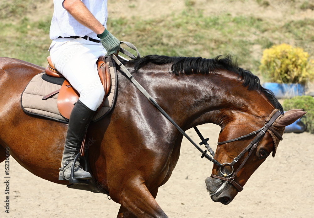 Obraz premium Horse on race