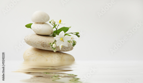 wellness still life pebbles and white jasmine