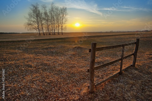 Sunset on the field