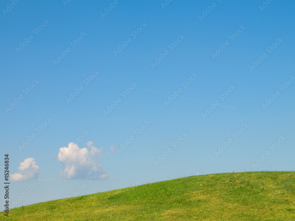 Fototapeta premium field and the blue spring sky