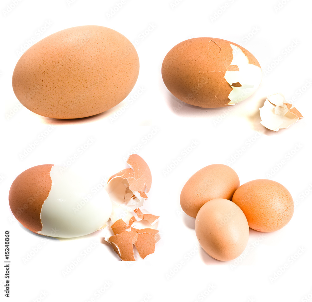eggs