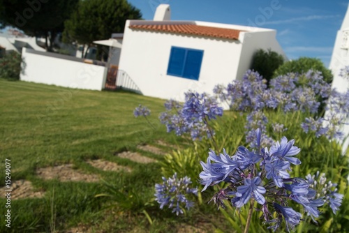 Typical house in Algarve © Luis Monteiro