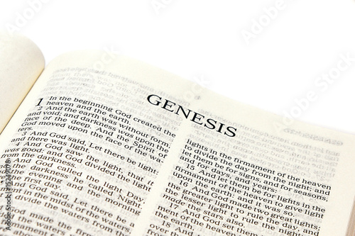 Slika na platnu book of genesis