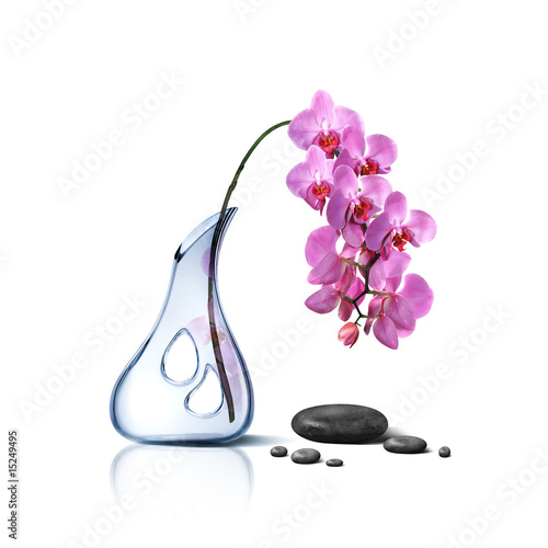 Fototapeta Naklejka Na Ścianę i Meble -  ORCHIDEE0001130