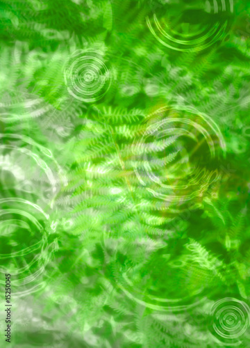 Ferns in water with ripples