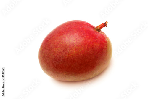 Mango  fruit  isolated on white.