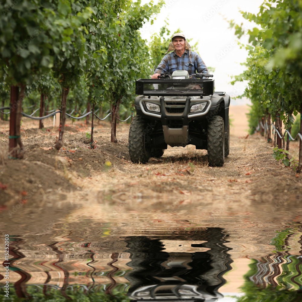 Obraz premium Farmer in vineyard