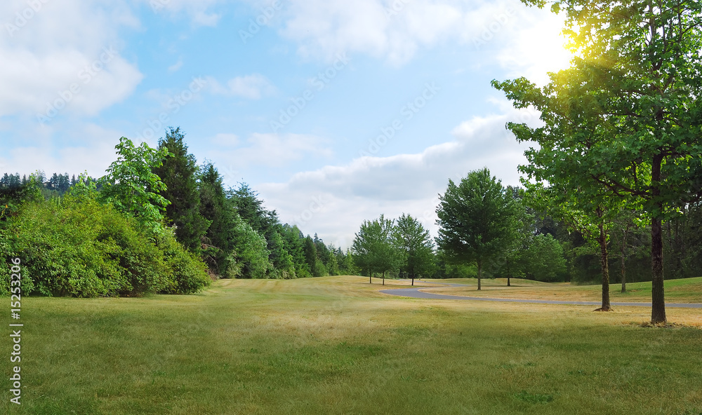 Park in summer day.