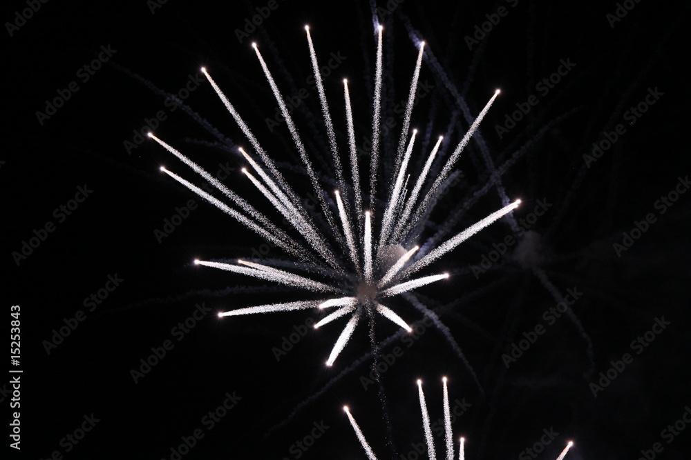 Obraz premium Silvesterrakete
