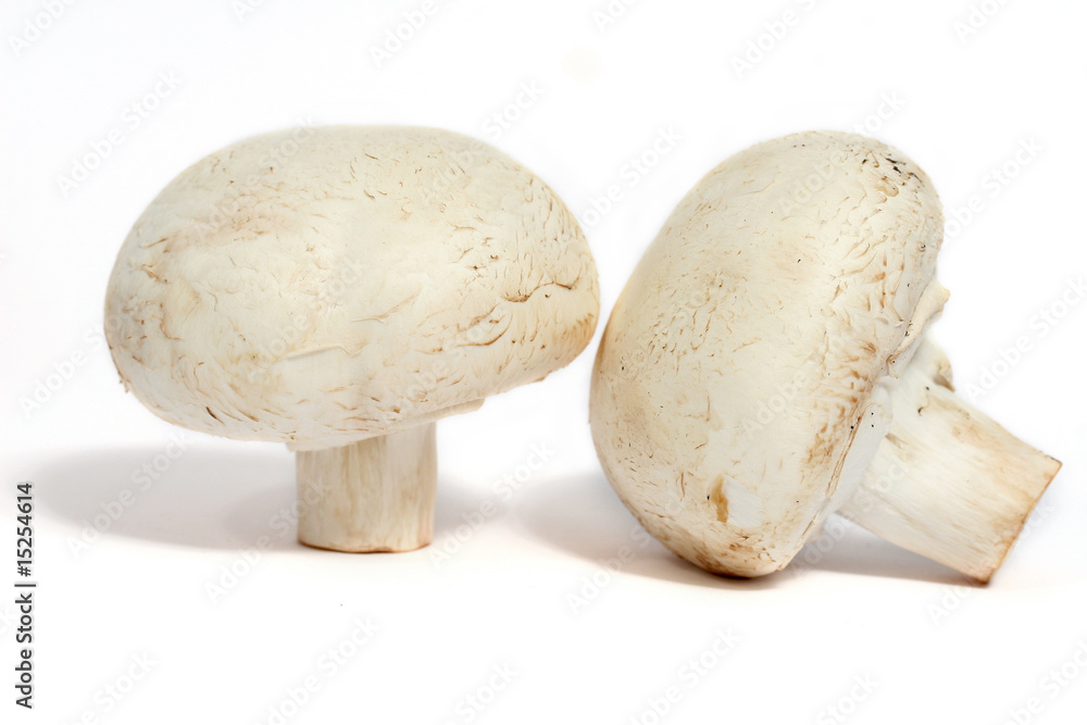 champignons de paris