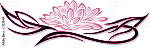Lotusblüte, Lotusblume, Lotus