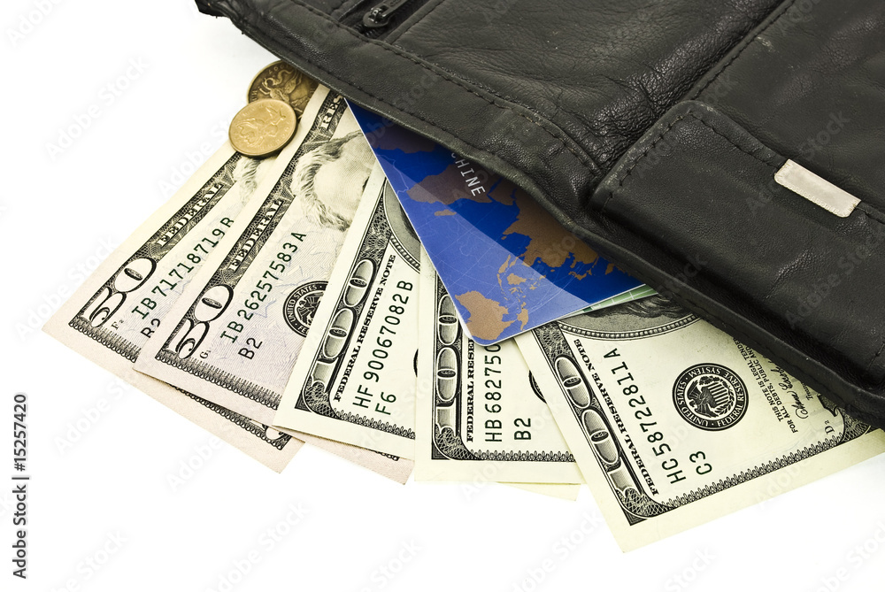 Leather purse with money and credit cards Leather purse with money and credit cards