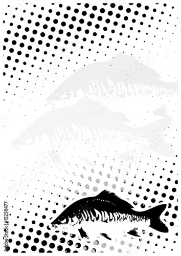 carp dots poster background