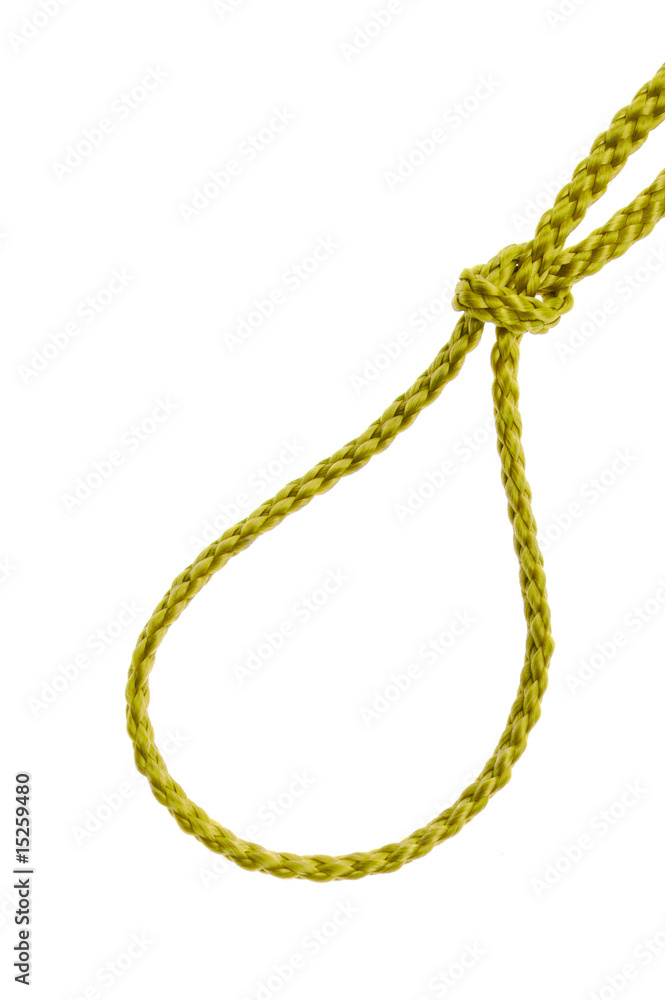 noose from a cord