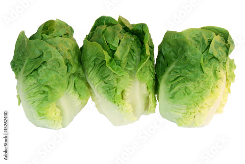 Obraz na plátně 3 salade sucrine