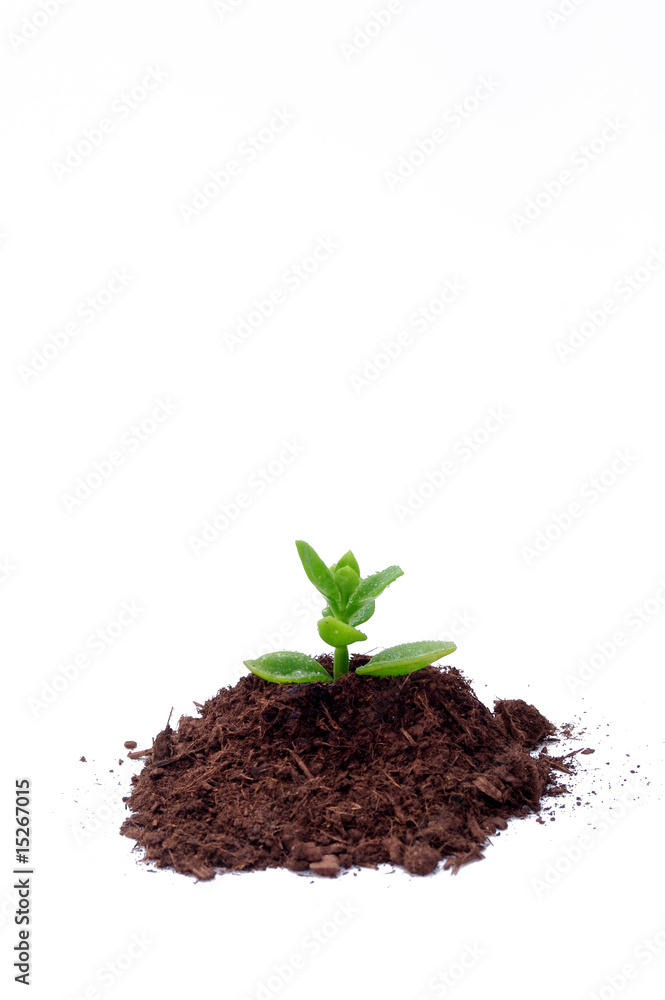 New life concept New life concept