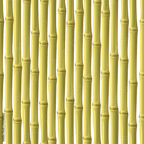 Abstract bamboo background. Seamless. Vector illustration.
