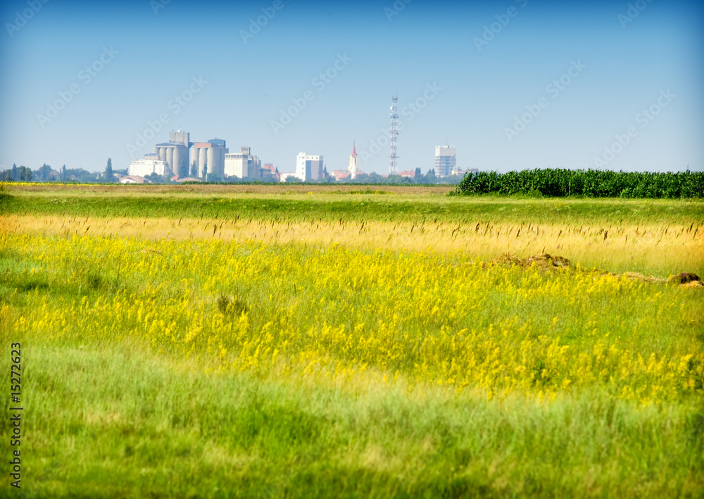 meadows and city in the background meadows and city in the background