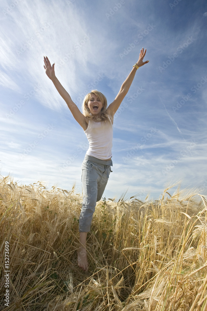 beautiful girl in the wheat field beautiful girl in the wheat field