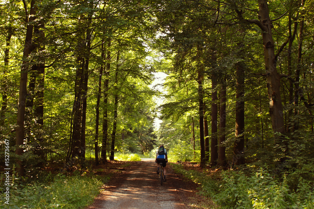 Fototapeta premium Fahrradfahrer