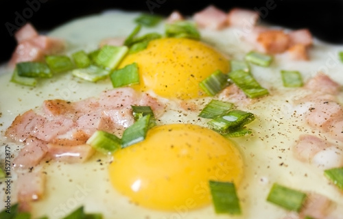 Omelet