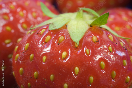 Wallpaper Mural Erdbeermakro Torontodigital.ca