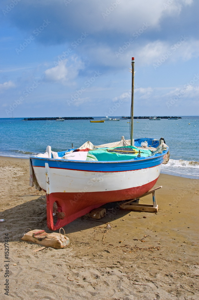 Naklejka premium Fischerboot an Land