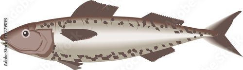 Fisch