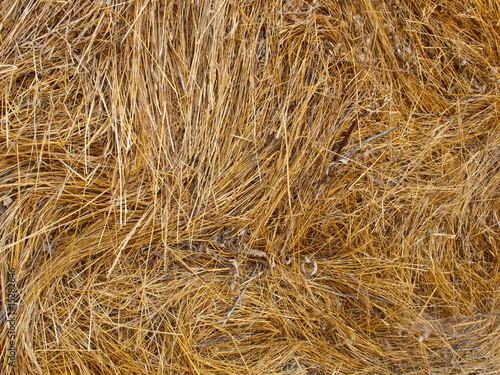 Straw useful as texture or background