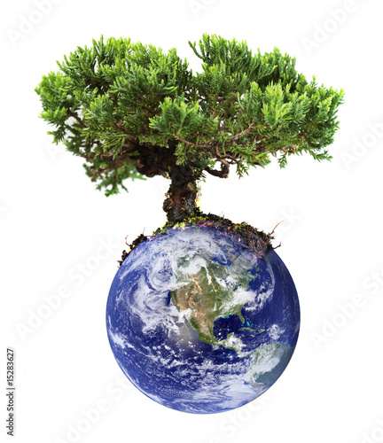 Earth tree