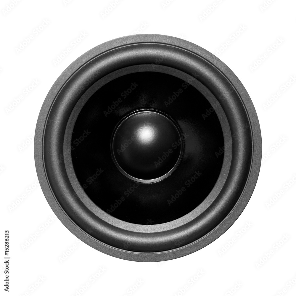 Speaker close up view Speaker close up view
