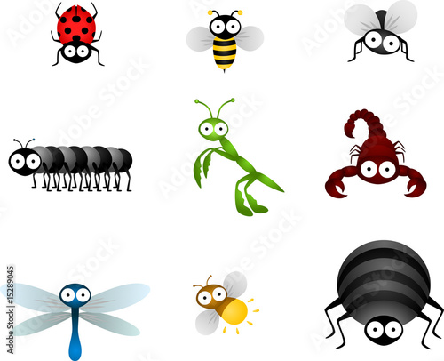 insects