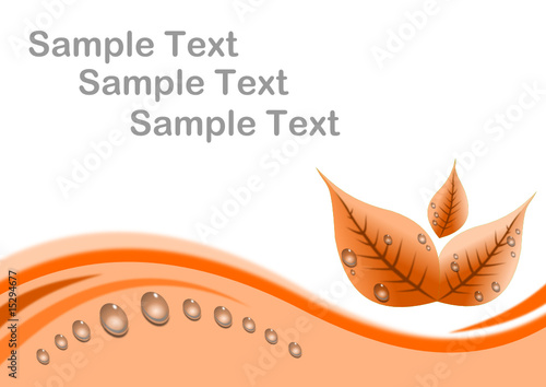 Regentropfen auf Blätter mit geschwungenem Ornament