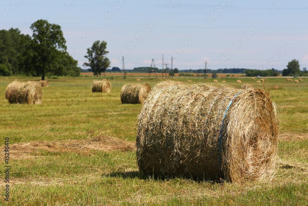 Bales of hay in a wide field