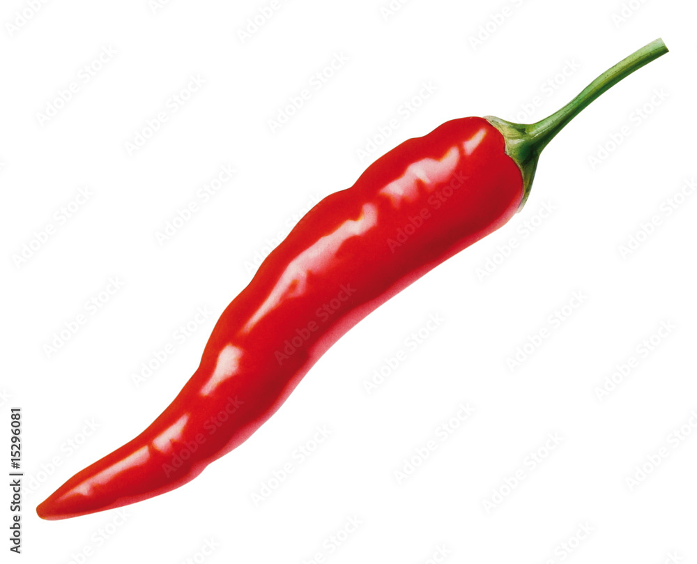 Chilischote StockIllustration Adobe Stock