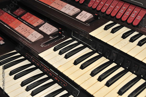 Quadro em tela organ