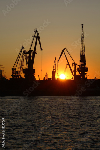 sea cranes on sunset in harbor