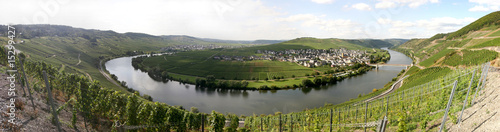 Panorama of the river Moselle in Trittenheim/ Germany