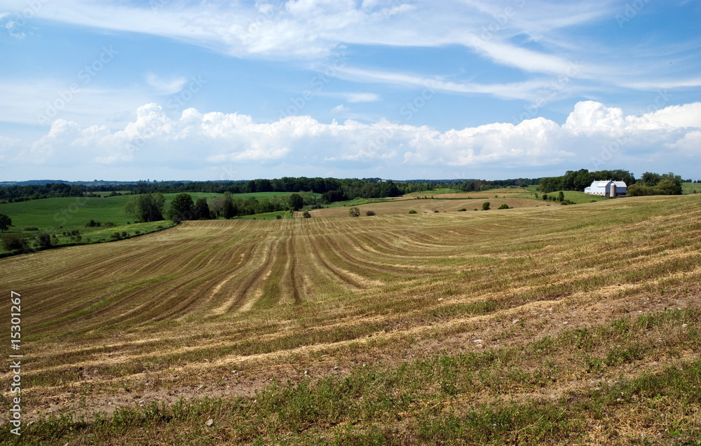 Cultivated field