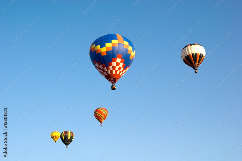 Fototapeta premium Hot Air Balloons #1