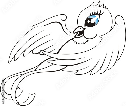 Swallow