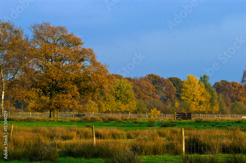 Landscape of a farmland with colorful autumn trees