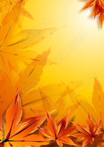 Autumn leaves